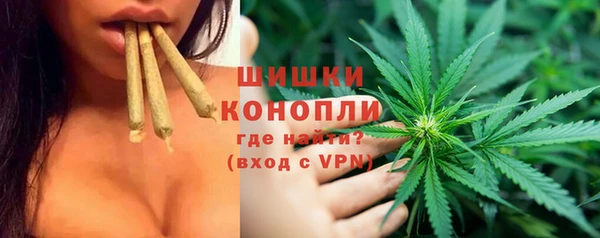 Альфа ПВП Пересвет