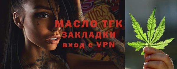 Альфа ПВП Пересвет