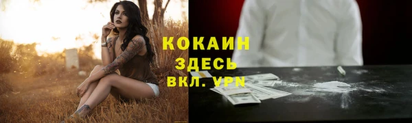 дурь Переславль-Залесский