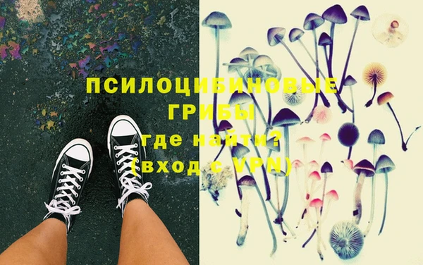 дурь Переславль-Залесский