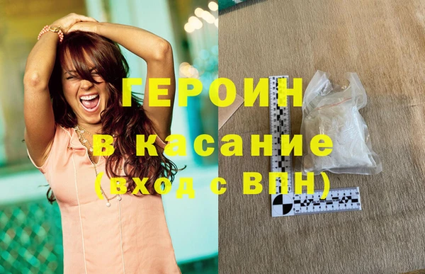 прущие грибы Заполярный