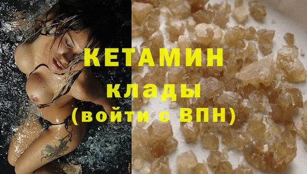 прущие грибы Заполярный