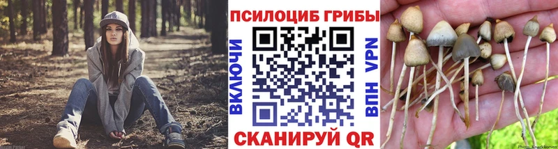 Галлюциногенные грибы мицелий  Сасово 